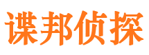 龙城市侦探公司